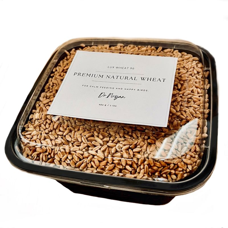 دانه پرندگان مدل بلدرچین کد luxwheat96 وزن 434 گرم